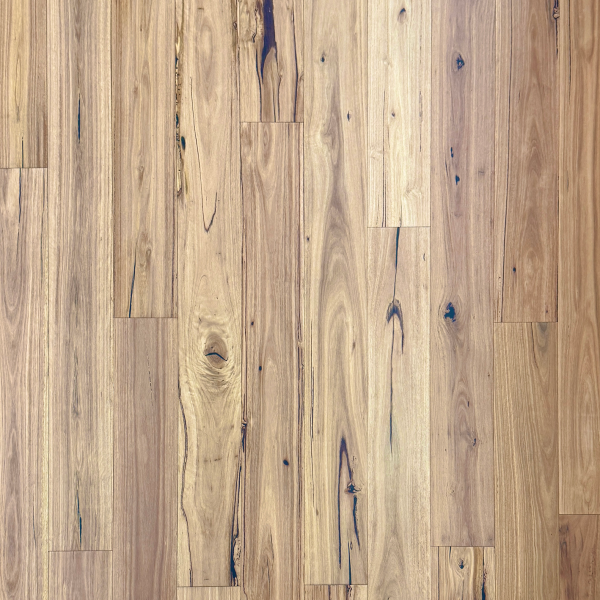Blackbutt Australian Species Engineered Timber Flooring